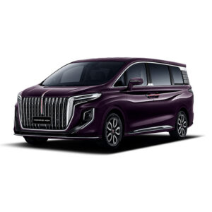 HONGQI HQ9